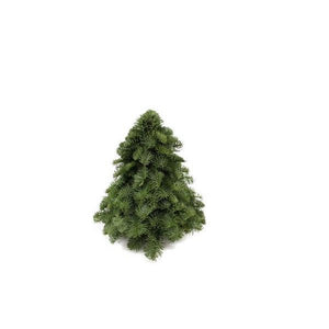 Sapin de Noël Nobilis - ↕30cm