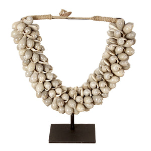 Collier petit coquillage J66