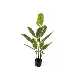 Plante artificielle Calathea de Present Time avec feuilles vertes luxuriantes