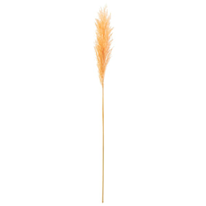 Branche de fleurs séchées J-Line Pampas en orange clair, élégante et naturelle