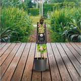 Clematis Country Rose PBR +3.0 Étiquette - Ø17cm - ↕75cm