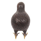 N2 Kiwi Oiseau Mini