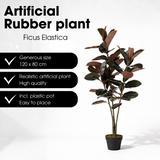 Plante artificielle Plante à caoutchouc Rouge
