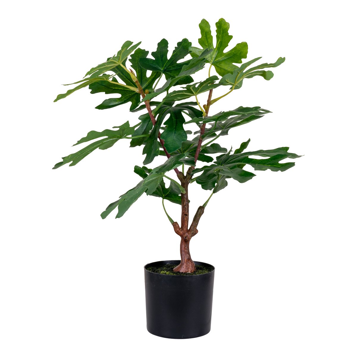 Figuier artificiel vert de 60 cm avec feuilles luxuriantes
