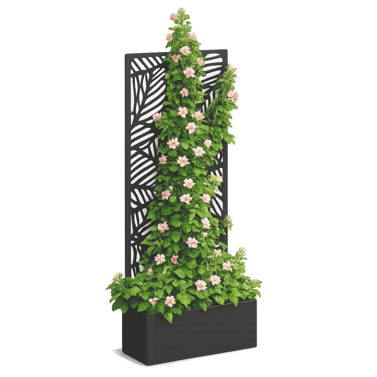 Support à Plantes Sapri Black - Vue latérale élégante