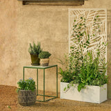 Utilisation du support dans un jardin contemporain avec des plantes