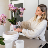 Lot de 3 orchidées blanches avec pot Como et réservoir d'eau