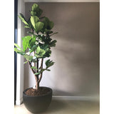 Cache-pot en polyester noir