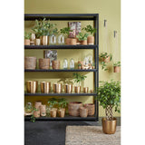 Pot de fleurs à l'intérieur d'Alano Gold