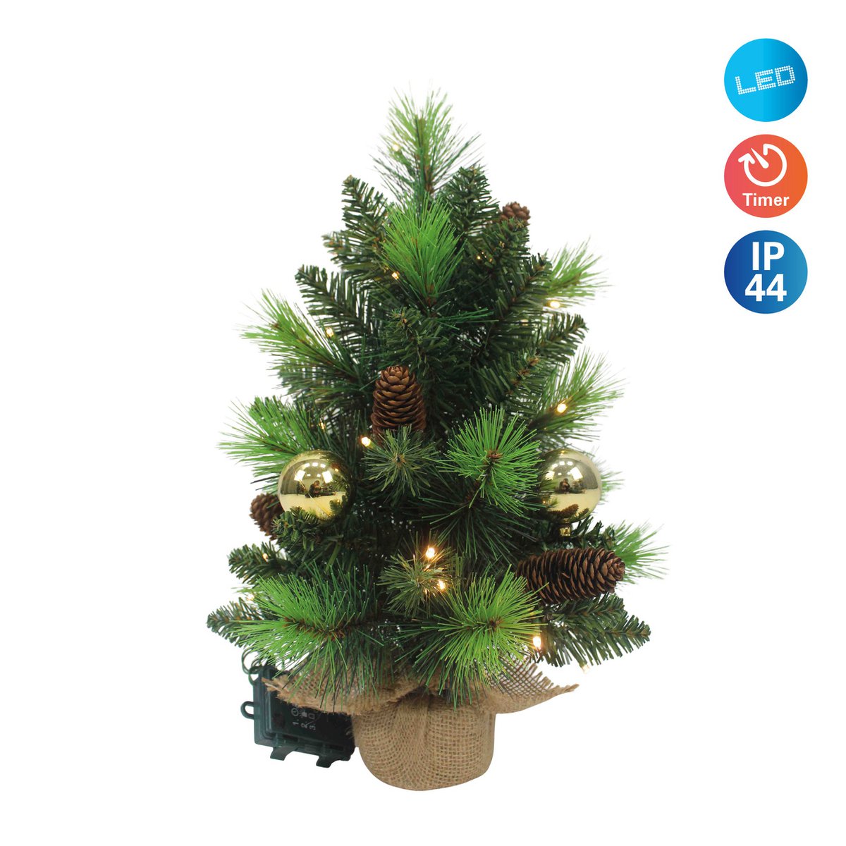 Image de diapositive