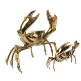 Crabe H20 S