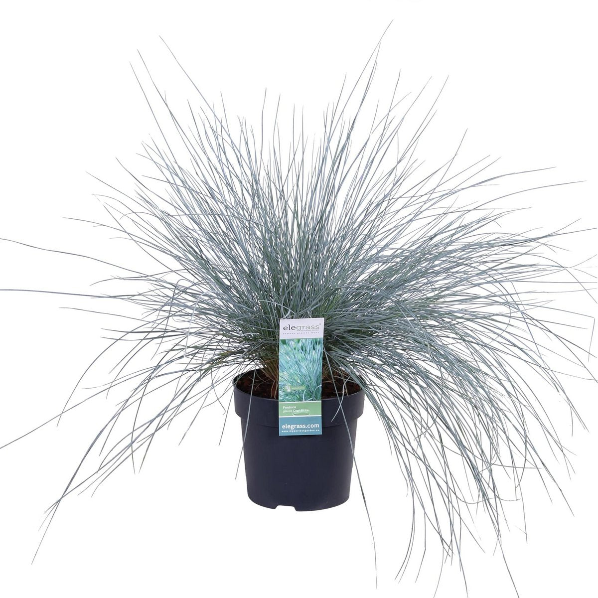 Image de diapositive