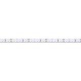 LED "Stripe" L: 5m Kaltweis
