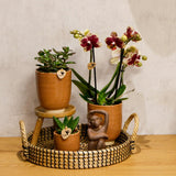 Maison Colibri | Bol décoratif - Plateau tressé noir Ø30cm