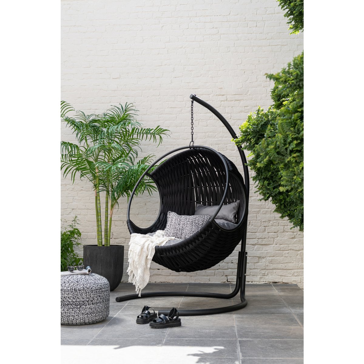 Palmier Bambou J-Line en pot plastique noir, vue complète