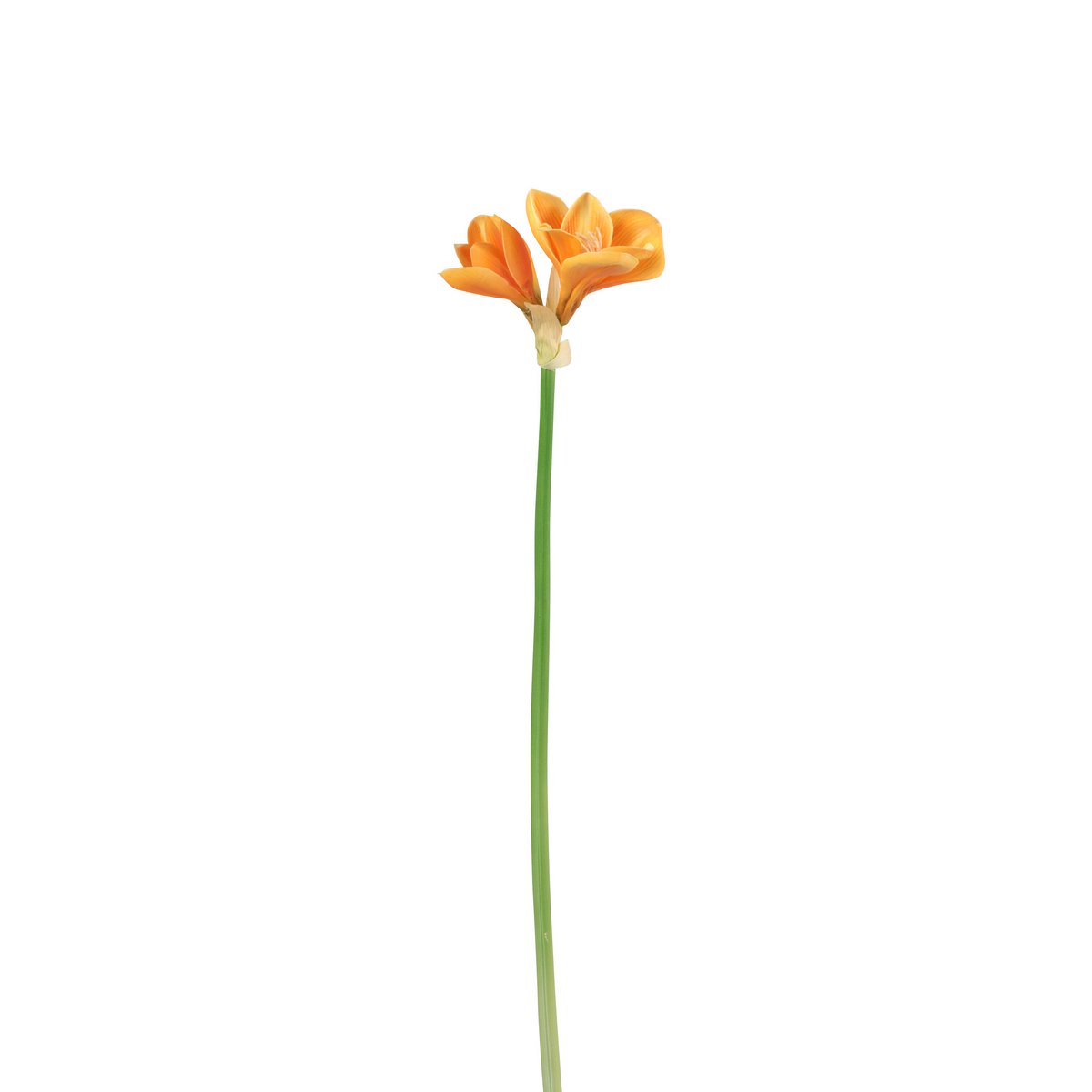 Amaryllis 3 Fleurs Orange Clair par J-Line, élégante et réaliste pour votre intérieur