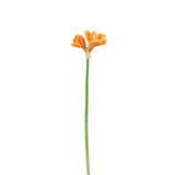 Amaryllis 3 Fleurs Orange Clair par J-Line, élégante et réaliste pour votre intérieur