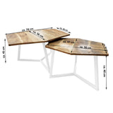 Lot de 2 tables basses (6 pièces) 1 table de salon palette structure métal Munich