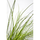 Plante artificielle Carex Testacea orange Ø19 cm