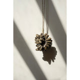Le gland en coquillage marron cauri