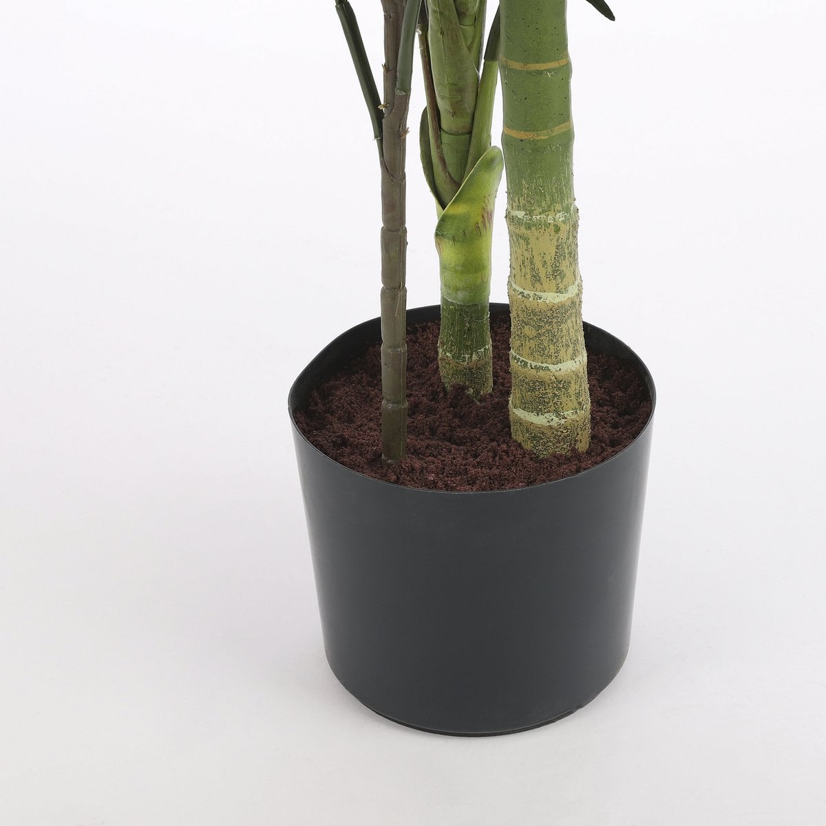 Plante Areca palmier dans un intérieur moderne