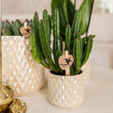 Kolibri Accueil | Sierpot perle diamant - Travertin - Ø6cm