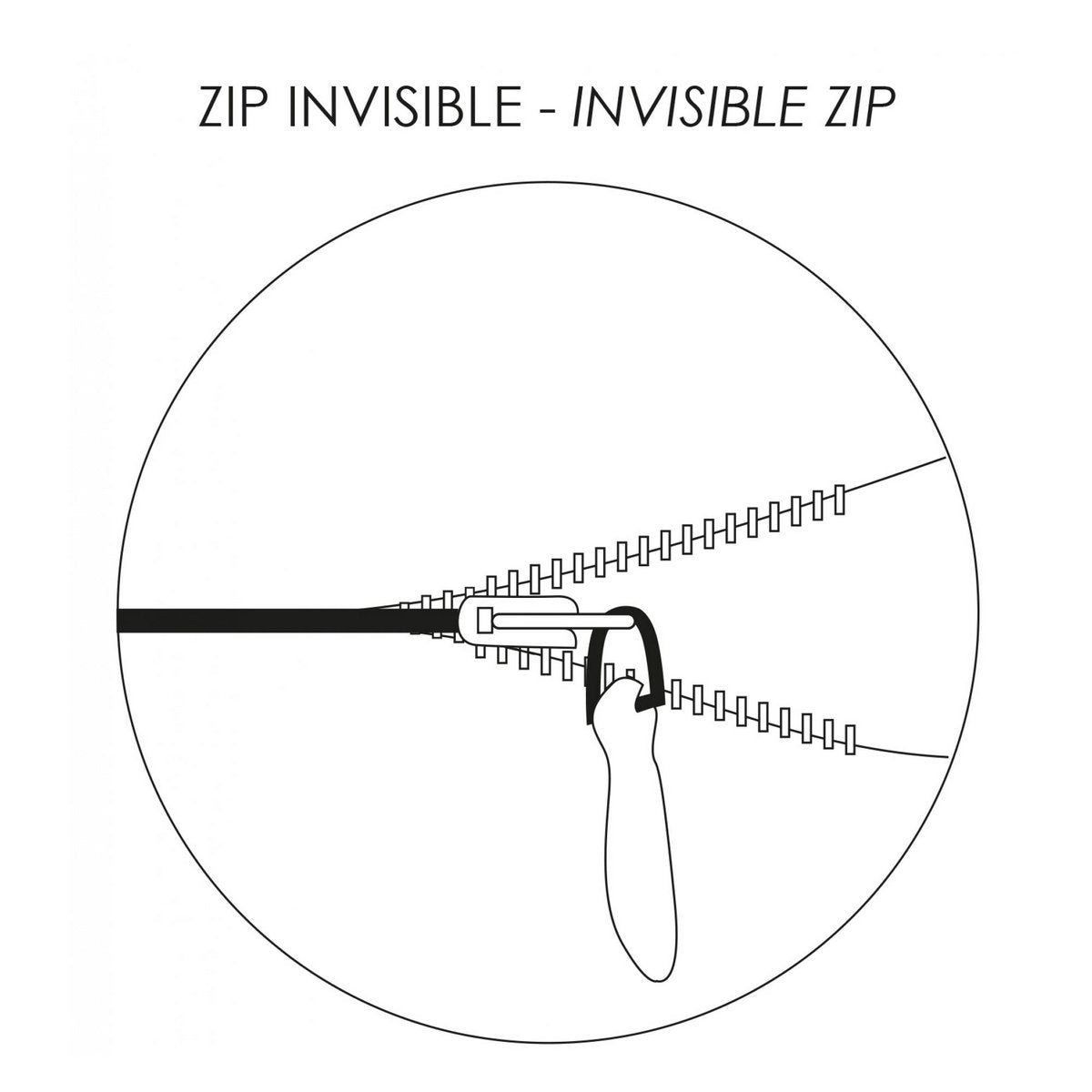 Image de diapositive
