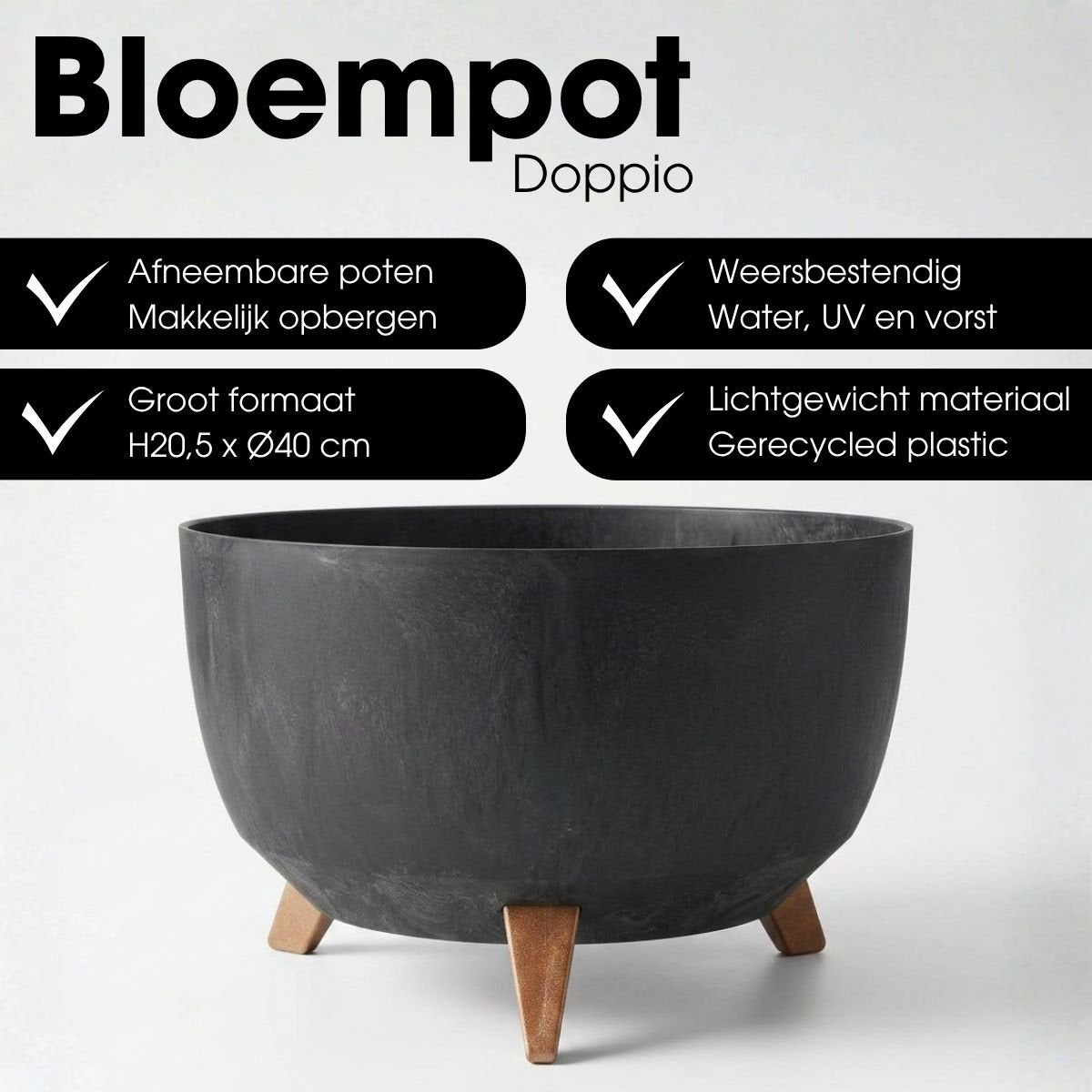 Image de diapositive
