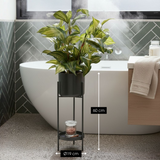 Pot de fleurs à l'intérieur de Colyn Noir