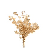 Ambiance intérieure avec la branche Eucalyptus J-Line, style bohème