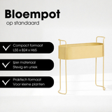 Pot de fleurs intérieur Moritz Beige