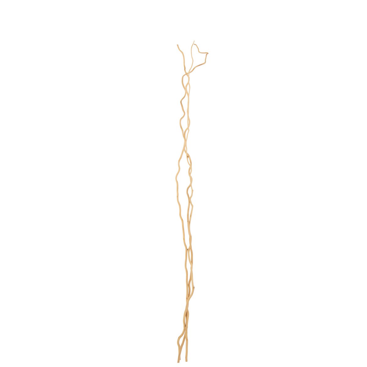 Branche de décoration J-Line en fleurs séchées, mise en scène dans un salon élégant.