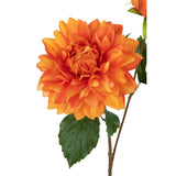 Vue latérale du Dahlia Elise de J-Line, mettant en avant sa texture et sa couleur