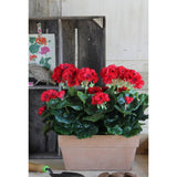 Plante artificielle Géranium Rose foncé