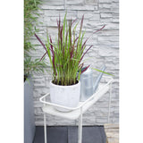 Plante artificielle Imperata cylindrica rouge