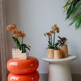 Home Kolibri | Candy Sierpot | Hoog - Peach - Ø9cm