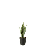 Dracaena Trifasciata en pot vert, plante artificielle élégante
