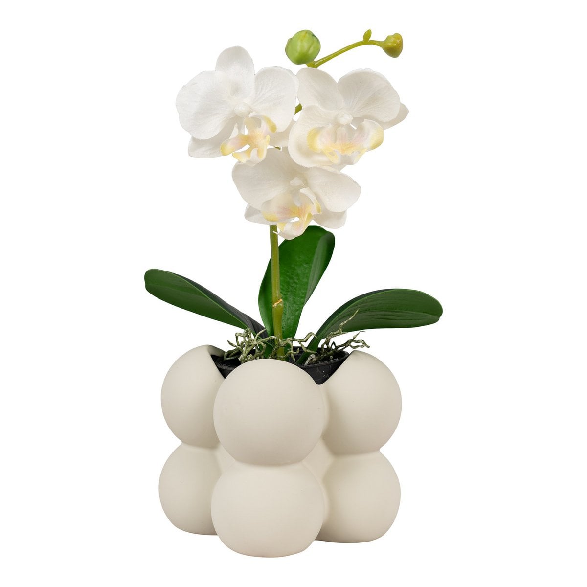 Pot de fleurs moderne en céramique grise, vue latérale