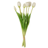Bouquet de tulipes J-Line placé sur une table en intérieur
