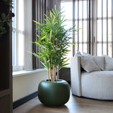 Cache-pot vert en fibre de pierre Phuket