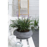 Liriope muscari ‘Ingwersen’ – Ø14cm – ↕30cm