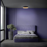 LED PLAFICATION ARANY, PLAFICATION FAGEMENT DE METAL ET DE PLASTIQUE EN NOIR, avec des LED fermement construites, dimmables, 40 cm de diamètre