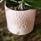 Lot de 3 cache-pots roses en résine 6, 9 et 12 cm