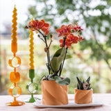 Maison Colibri | Pot décoratif Candy - Pêche - Ø6cm