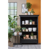 Crème Atlantique Plantenmand