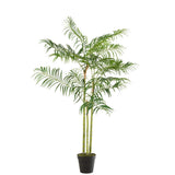 Palmier Bambou J-Line dans un salon moderne, ambiance exotique