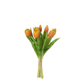 Vue rapprochée des pétales de tulipes orange J-Line