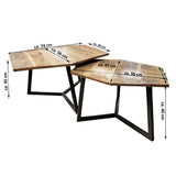 Lot de 2 tables basses (6 pièces) 1 table de salon palette structure métal Munich