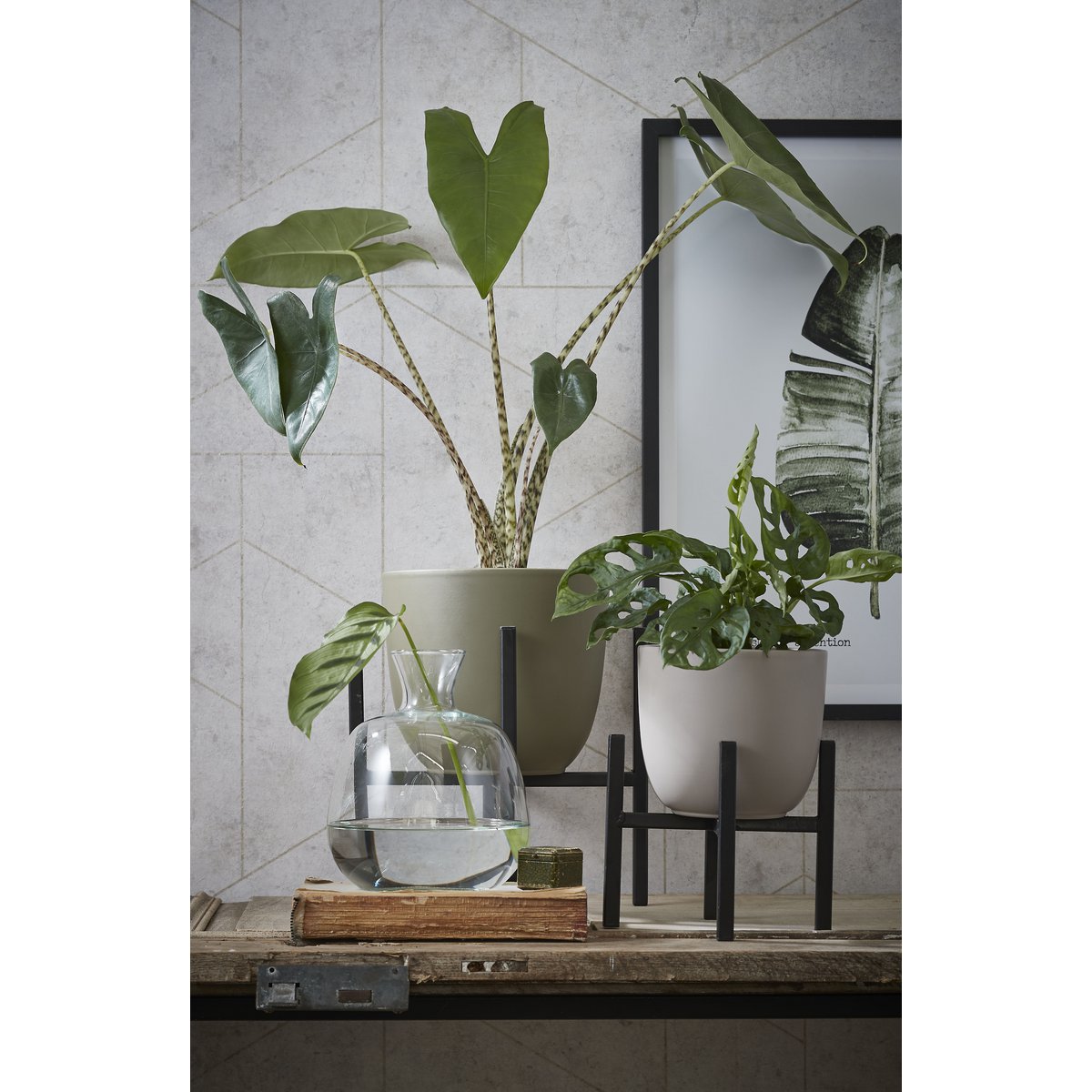 Support pour plantes Ascot Noir - utilisation avec pot de fleurs