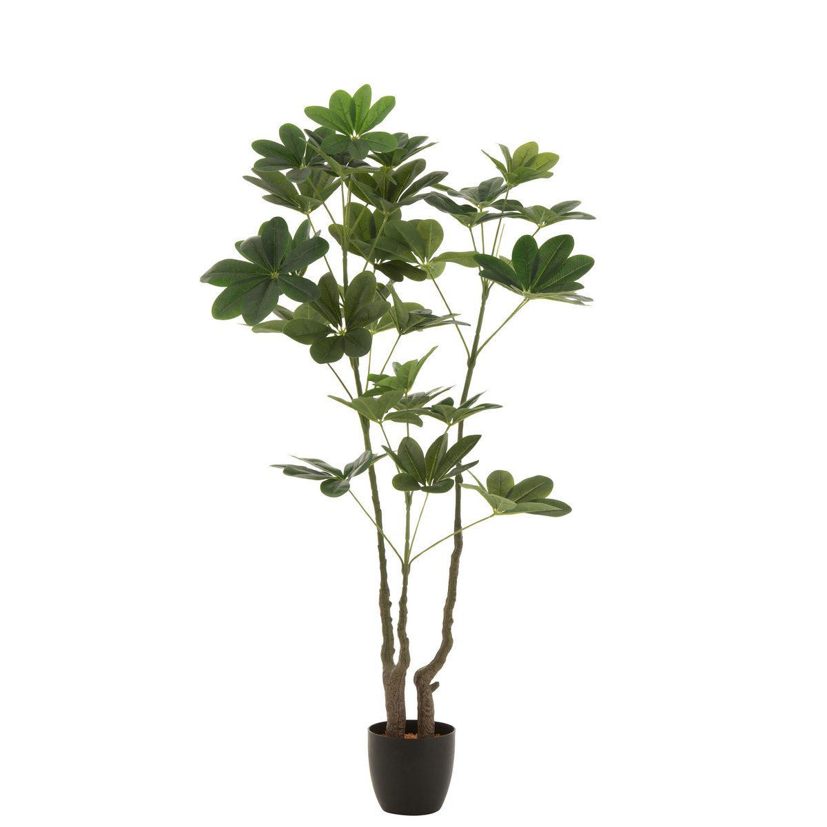Arbre d'argent J-Line en pot vert dans un décor moderne